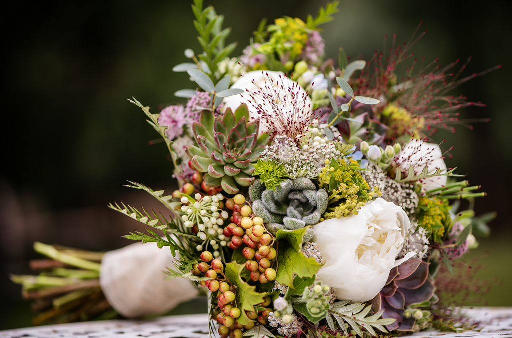 Mastering Floral Preservation for Demanding Blooms & Succulents