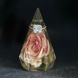 Ring Holder