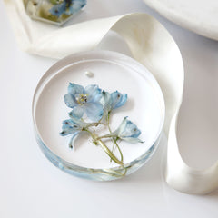 Paperweight
