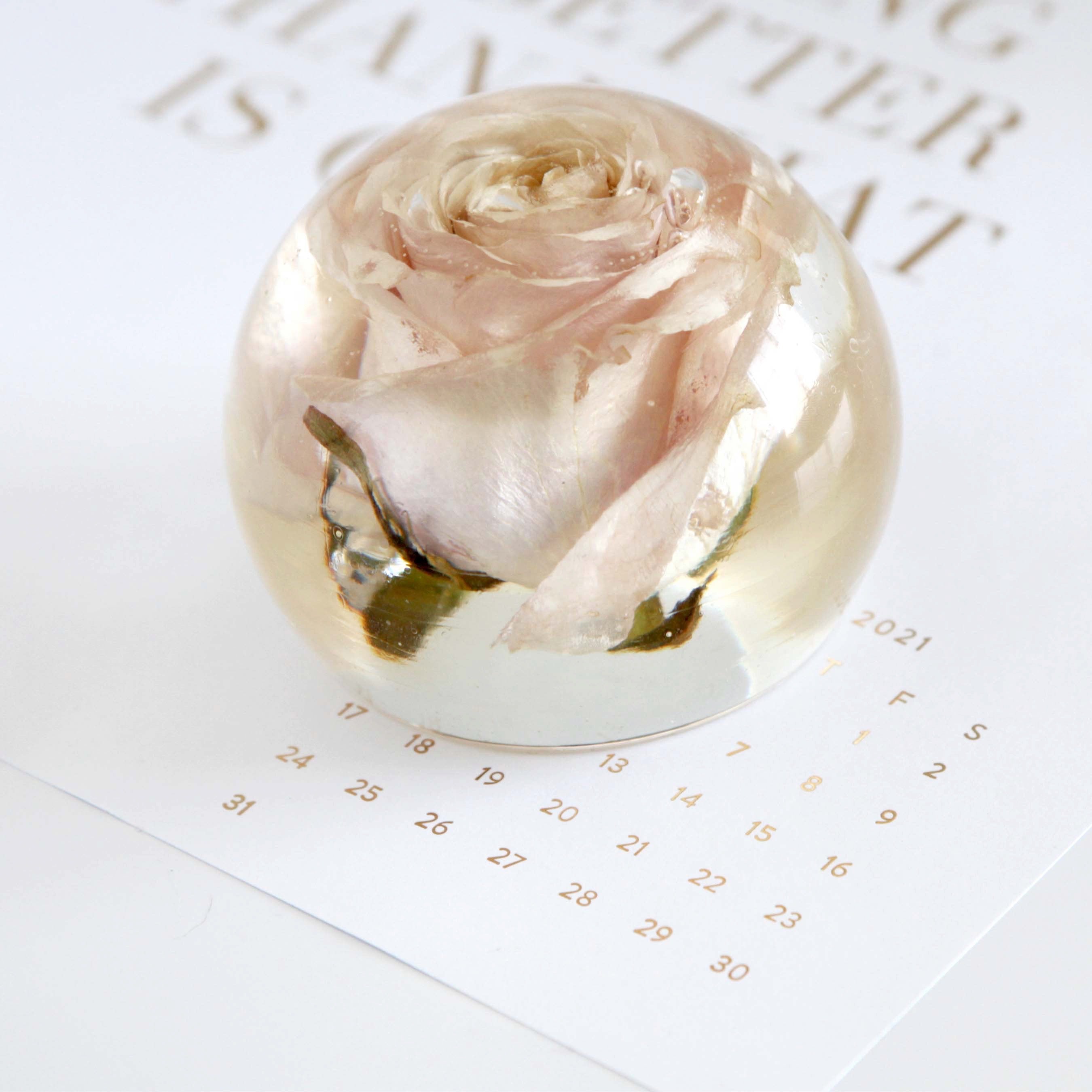 Orb