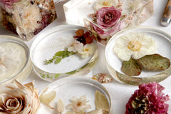 Paperweight